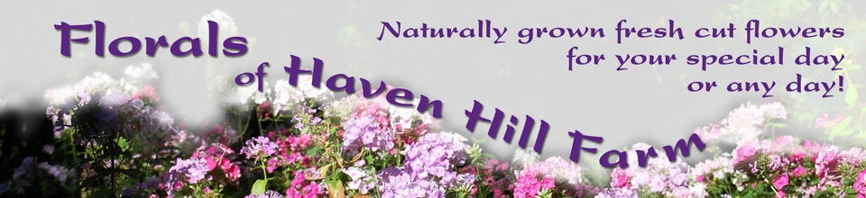 Florals of Haven Hill Farm